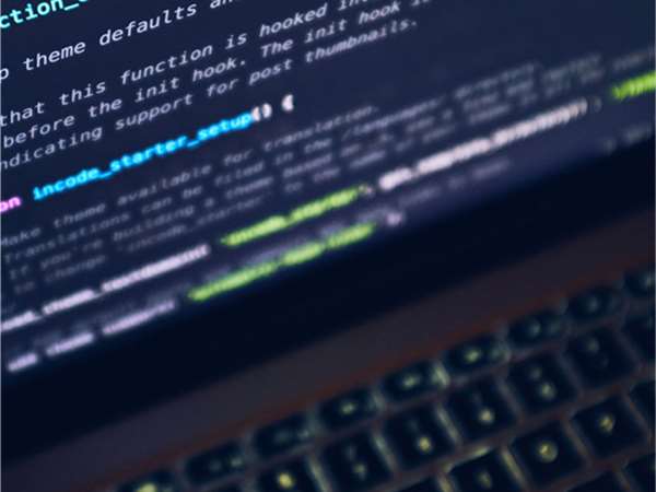 Recht des geistigen Eigentums und der Informationstechnologien 